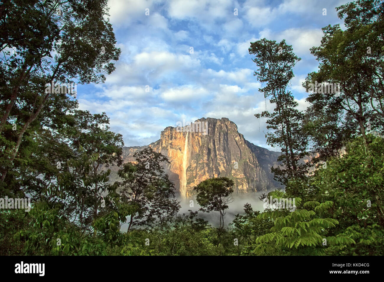 Angel Falls - Blick auf den höchsten Wasserfall der Erde in den frühen Morgenstunden Stockfoto