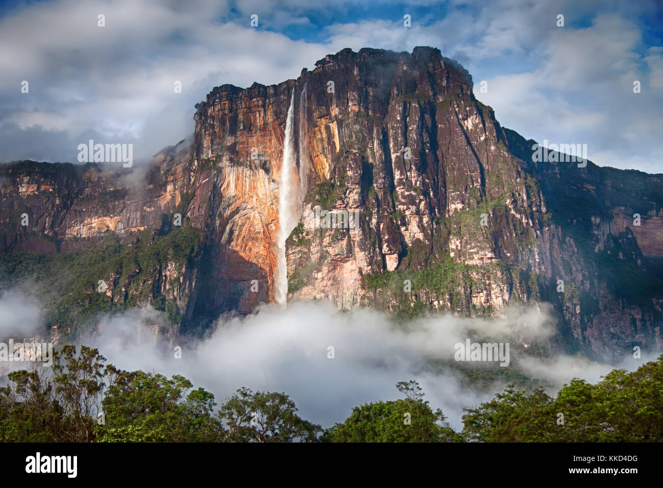 Angel Falls - Blick auf den höchsten Wasserfall der Erde in den frühen Morgenstunden Stockfoto
