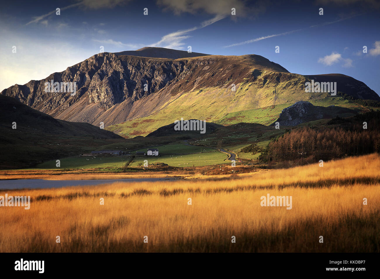 Llyn y Gadair (See) & Bauernhaus in der Nähe von rhyd Ddu in Snowdonia National Park, Wales, Großbritannien mit 2300 ft Mynydd Mawr als Hintergrund Stockfoto