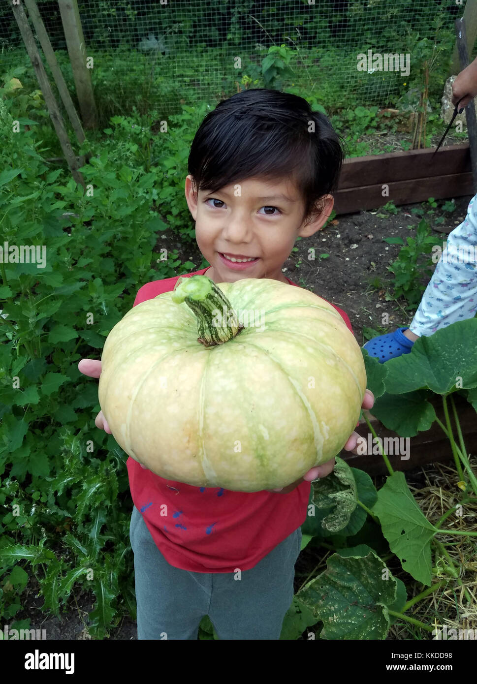 Oung eurasianboy mit einem Kürbis hob er in einem Garten Stockfoto