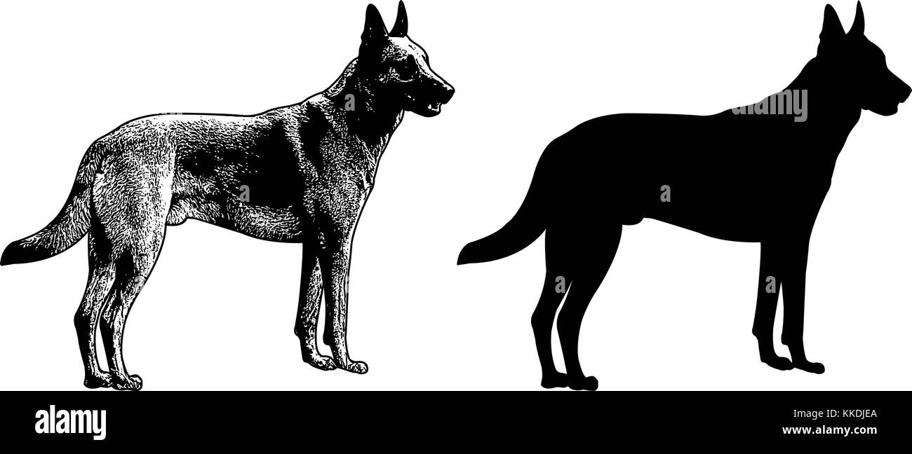 Deutscher Schäferhund Silhouette und Skizze Illustration - Vektor Stock Vektor