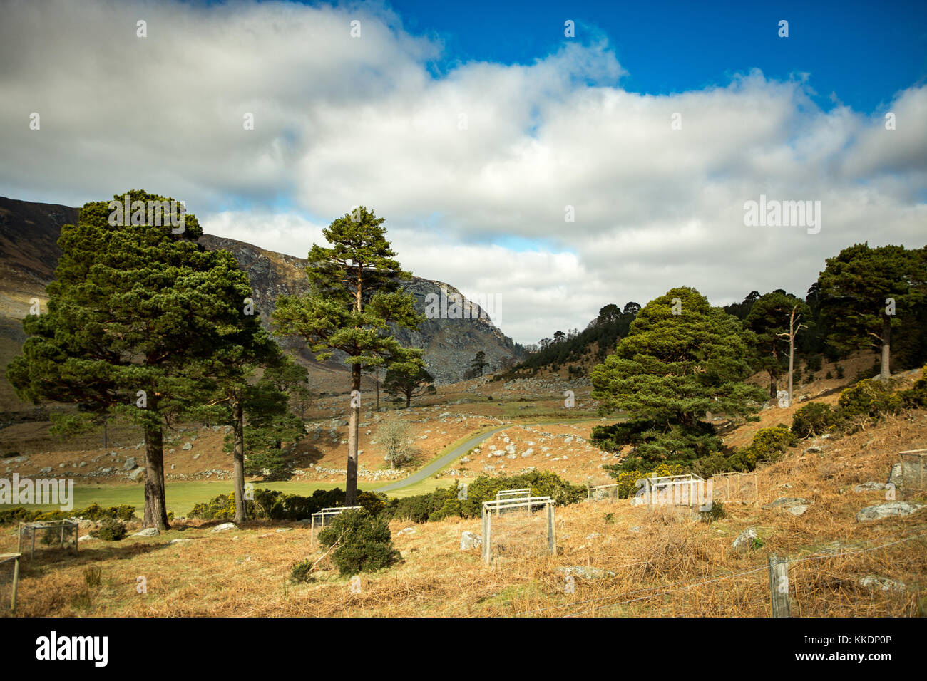 Landschaft Blick auf das Tal unter luggala Berg von lough dan Spaziergang in den Wicklow Mountains, Irland Stockfoto