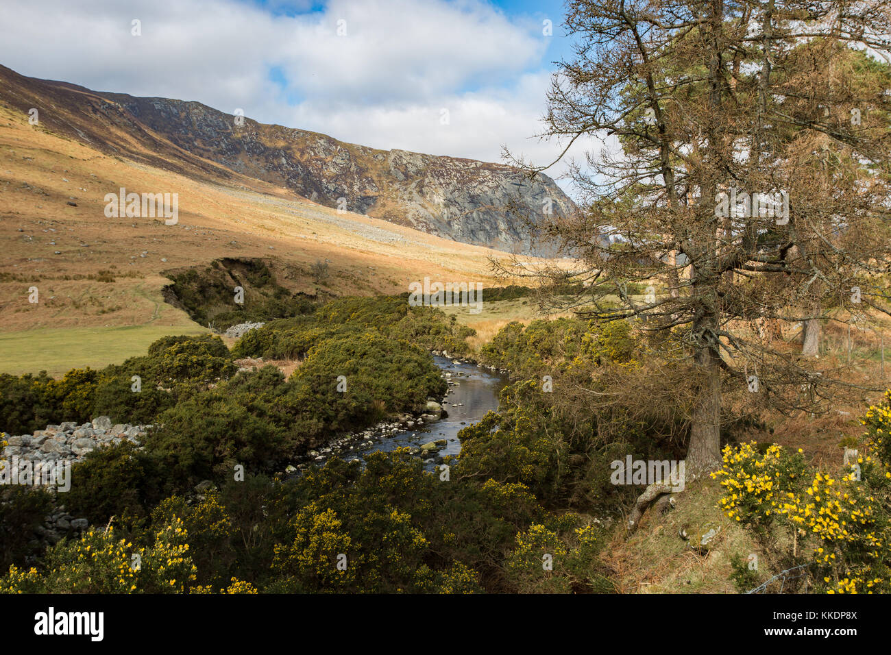 Landschaft Blick auf das Tal unter luggala Berg von lough dan Spaziergang in den Wicklow Mountains, Irland Stockfoto