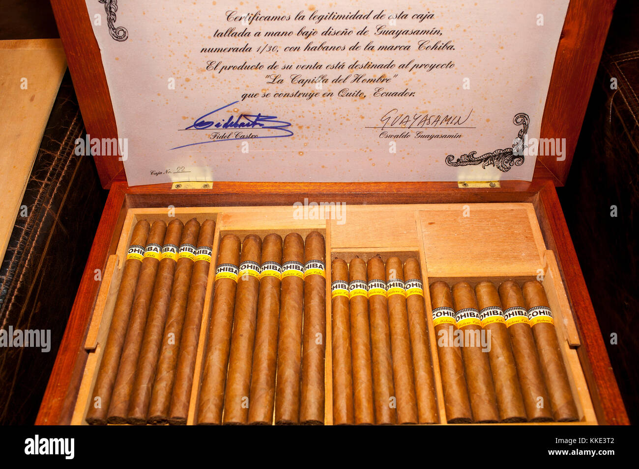 Eine limitierte Edition Humidor von Zigarre entworfen vom Künstler Oswaldo Guayasamín mit einem Zertifikat von dem Künstler und Fidel Castro unterzeichnet. Stockfoto
