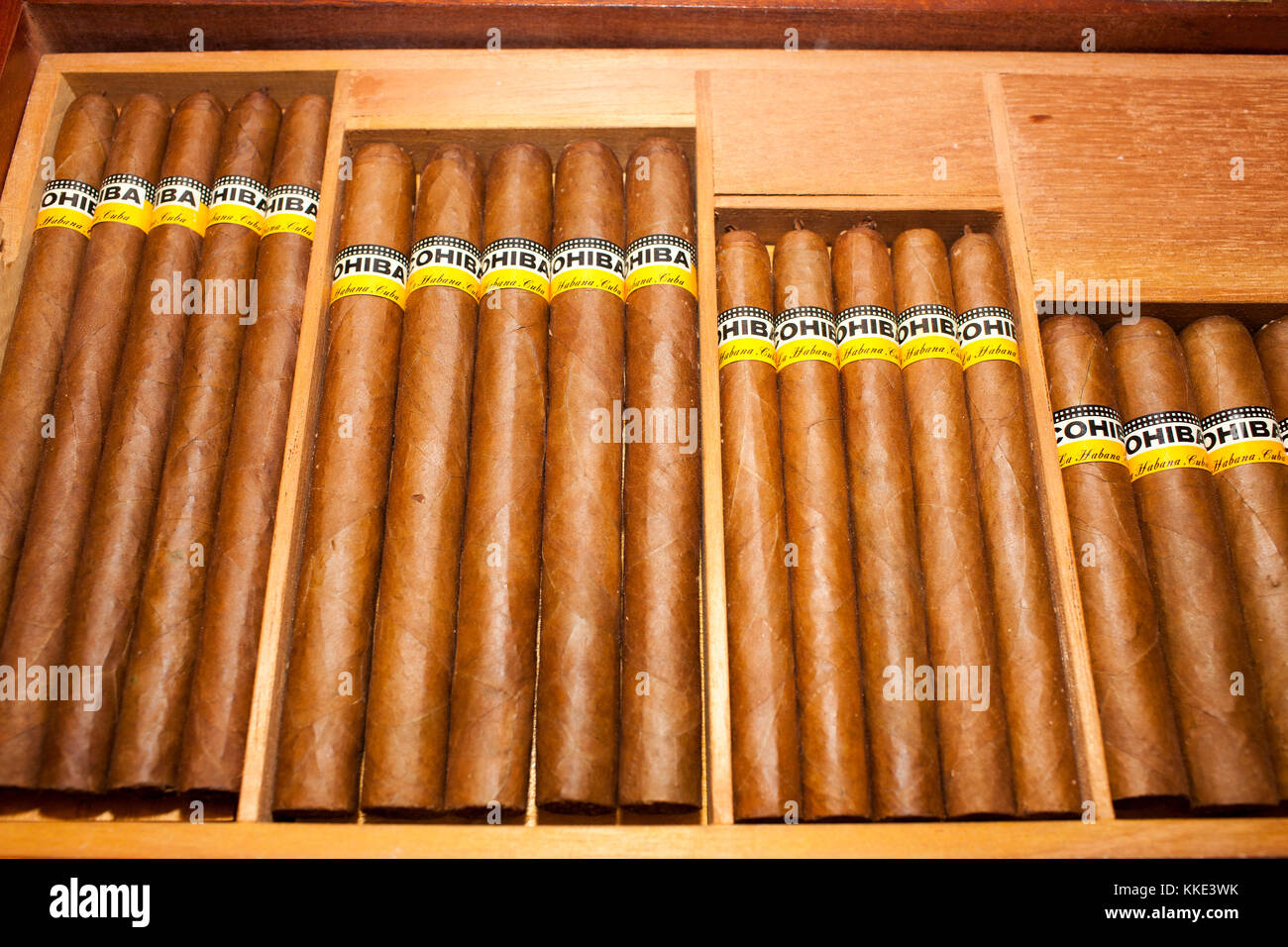 Eine limitierte Edition Humidor von Zigarre entworfen vom Künstler Oswaldo Guayasamín mit einem Zertifikat von dem Künstler und Fidel Castro unterzeichnet. Stockfoto