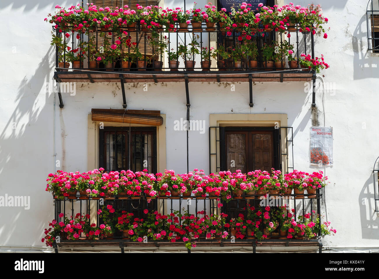 Blumen und Balkone während der "Festival des Patios', Cordoba, Spanien Stockfoto