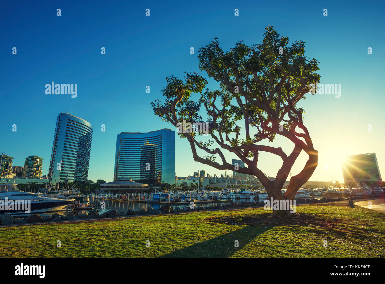 Embarcadero Marina Park in der Innenstadt von San Diego, Kalifornien. Stockfoto