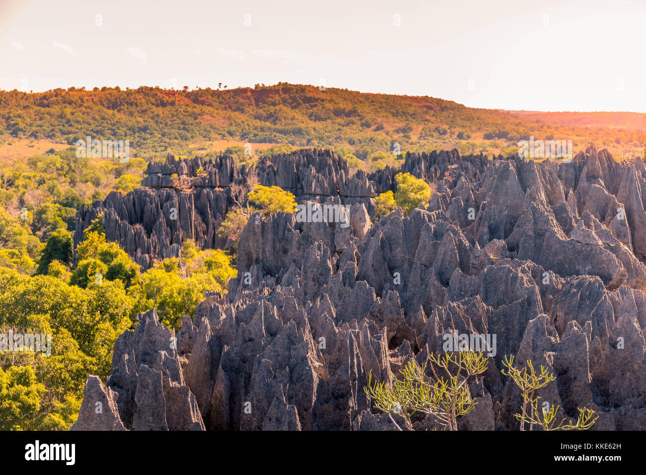 Sonnenuntergang auf der einzigartigen Geographie an der Tsingy de Bemaraha strenge Naturschutzgebiet in Madagaskar Stockfoto