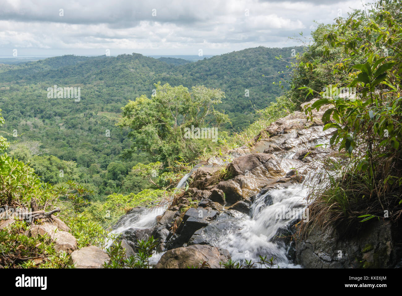 Einen felsigen Berghang im Dschungel von Belize mit einem Datenstrom gelangen Sie auf die Seite. Eine wunderschöne Wildnis. Stockfoto