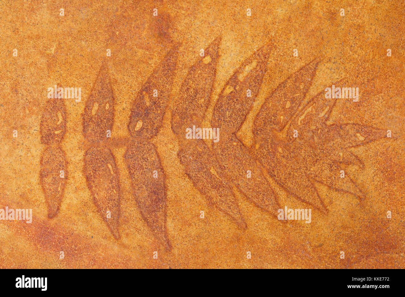 Eisensulfat gebeizt Betonboden mit sumach Blatt Muster Stockfoto