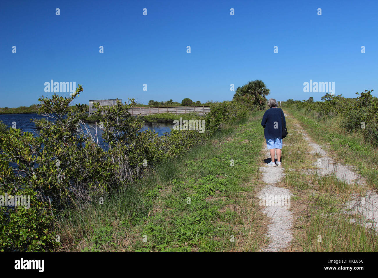 Frau, die zu Fuß auf einem der vielen Wanderwege in Merritt Island National Wildlife Refuge Florida Stockfoto