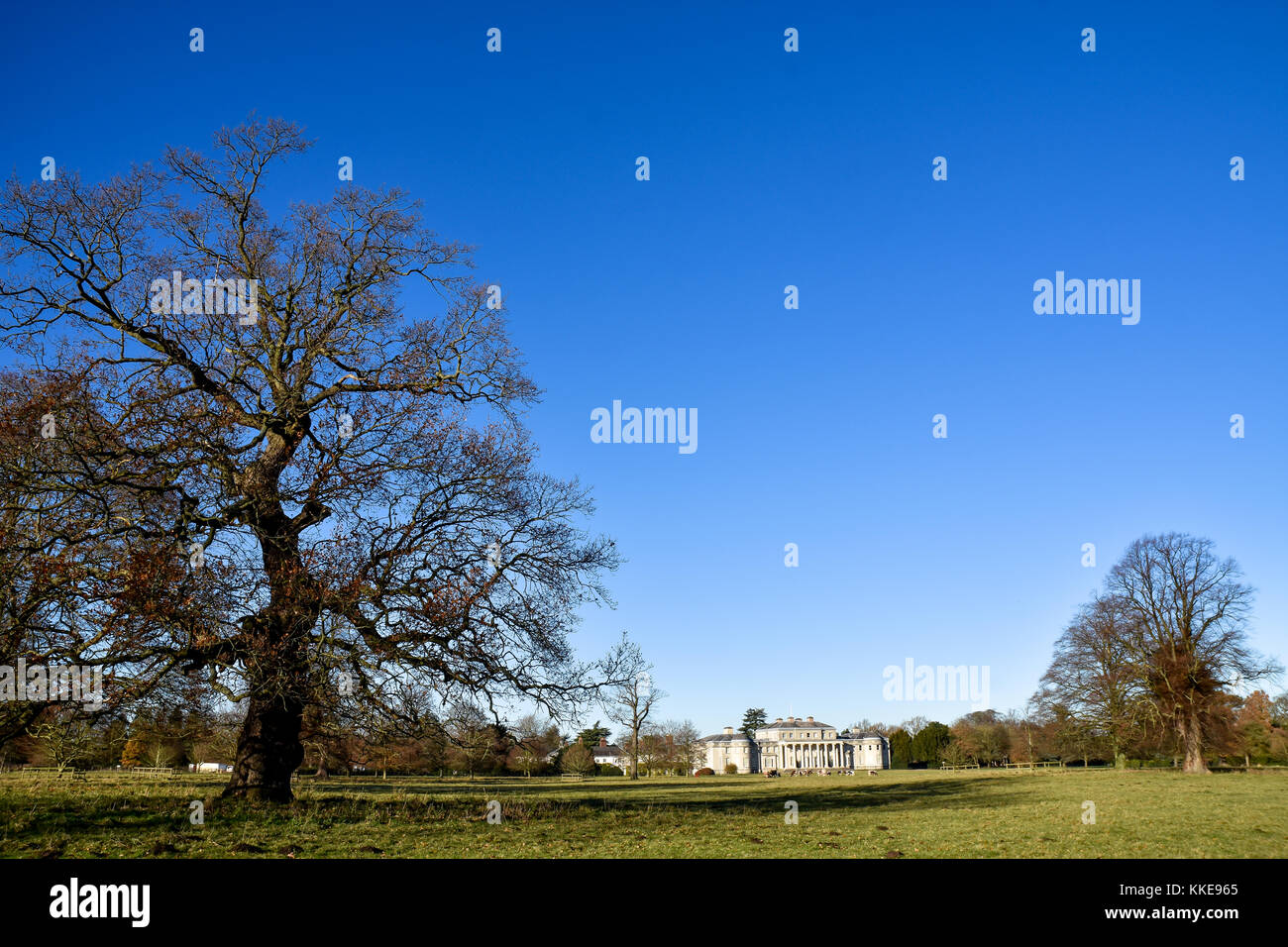 Umfassende Sicht auf den vorderen Rasen der Shugborough Hall, Staffordshire, der Stammsitz der Grafen von lichfield Stockfoto
