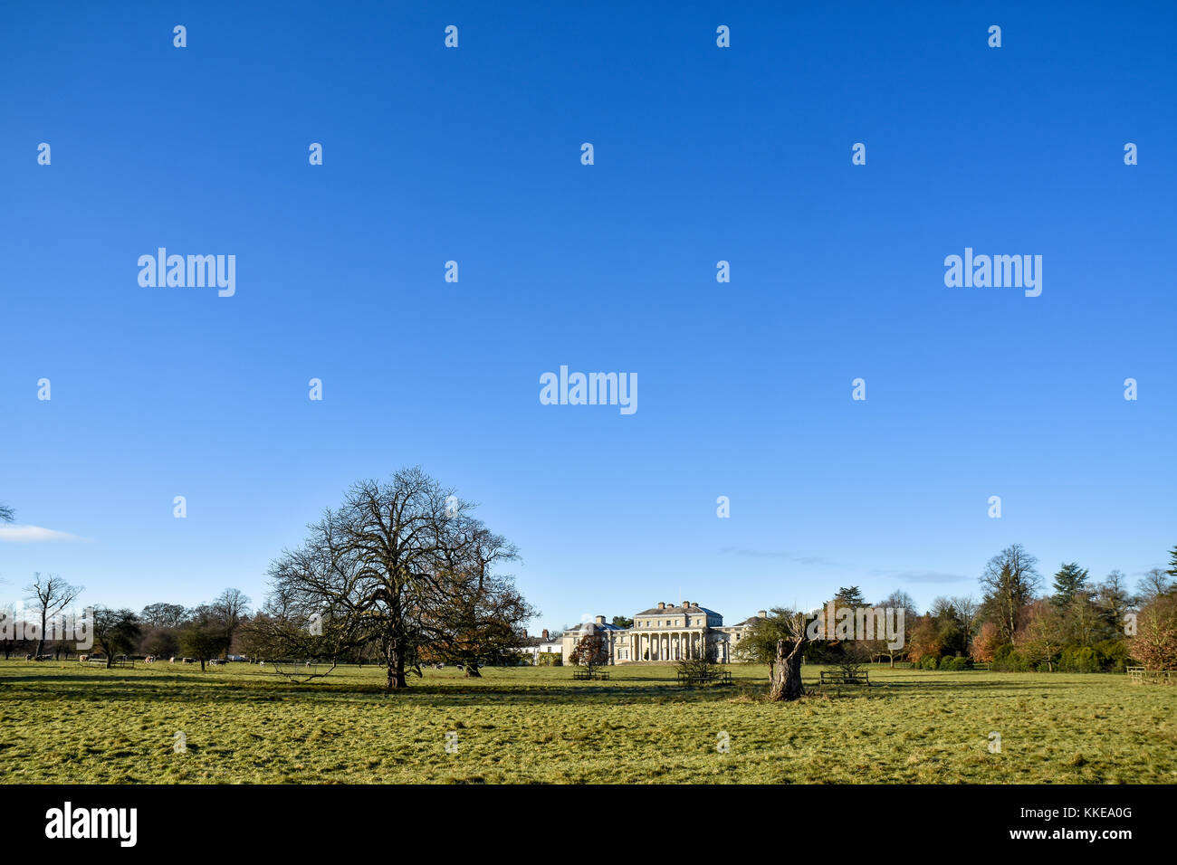 Umfassende Sicht auf den vorderen Rasen der Shugborough Hall, Staffordshire, der Stammsitz der Grafen von lichfield Stockfoto