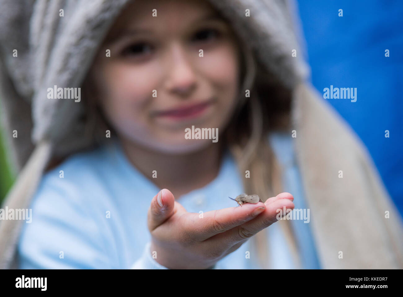 Big wild sleepout Event pix. Bilder der jungen Kinder/Kinder und Eltern, die in Ihrem Garten um von Nachmittag bis in die Nacht - Zeit, genießen Aktivitäten, wie eine Höhle, an Bugs auf der Suche nach Stellen für Hunde Igel, toasten Marshmallows um eine Feuerstelle, die Motten Trapping, auf der Suche nach nachtaktiven Tieren. Stockfoto