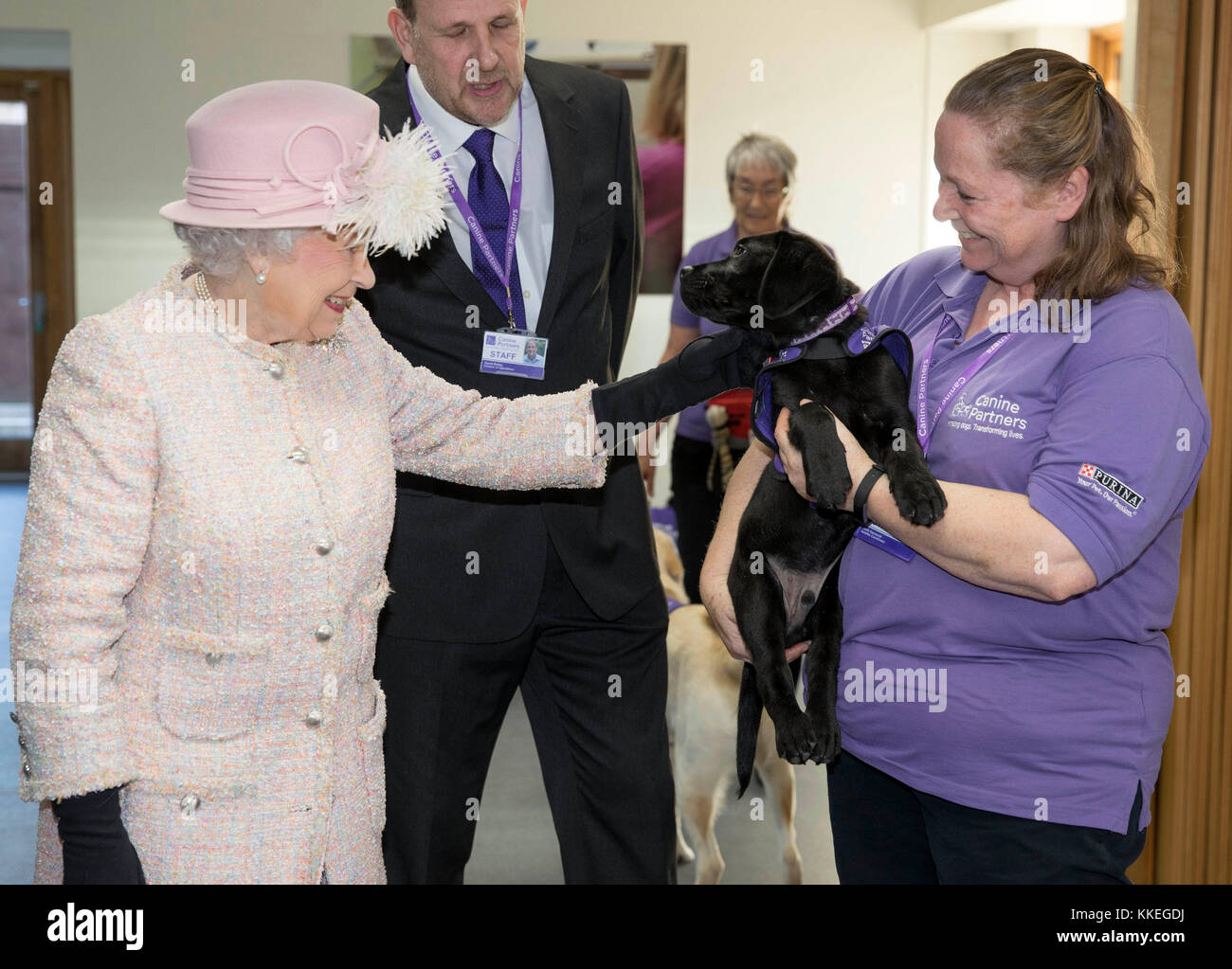 Königin Elizabeth II. ist auf 12 Wochen alter Labrador Welpe "Flint" von Ihrem Trainer Ruth Narracott eingeführt, als sie die Einrichtungen Touren auf "Canine Partner "Liebe in Midhurst in Sussex. Stockfoto