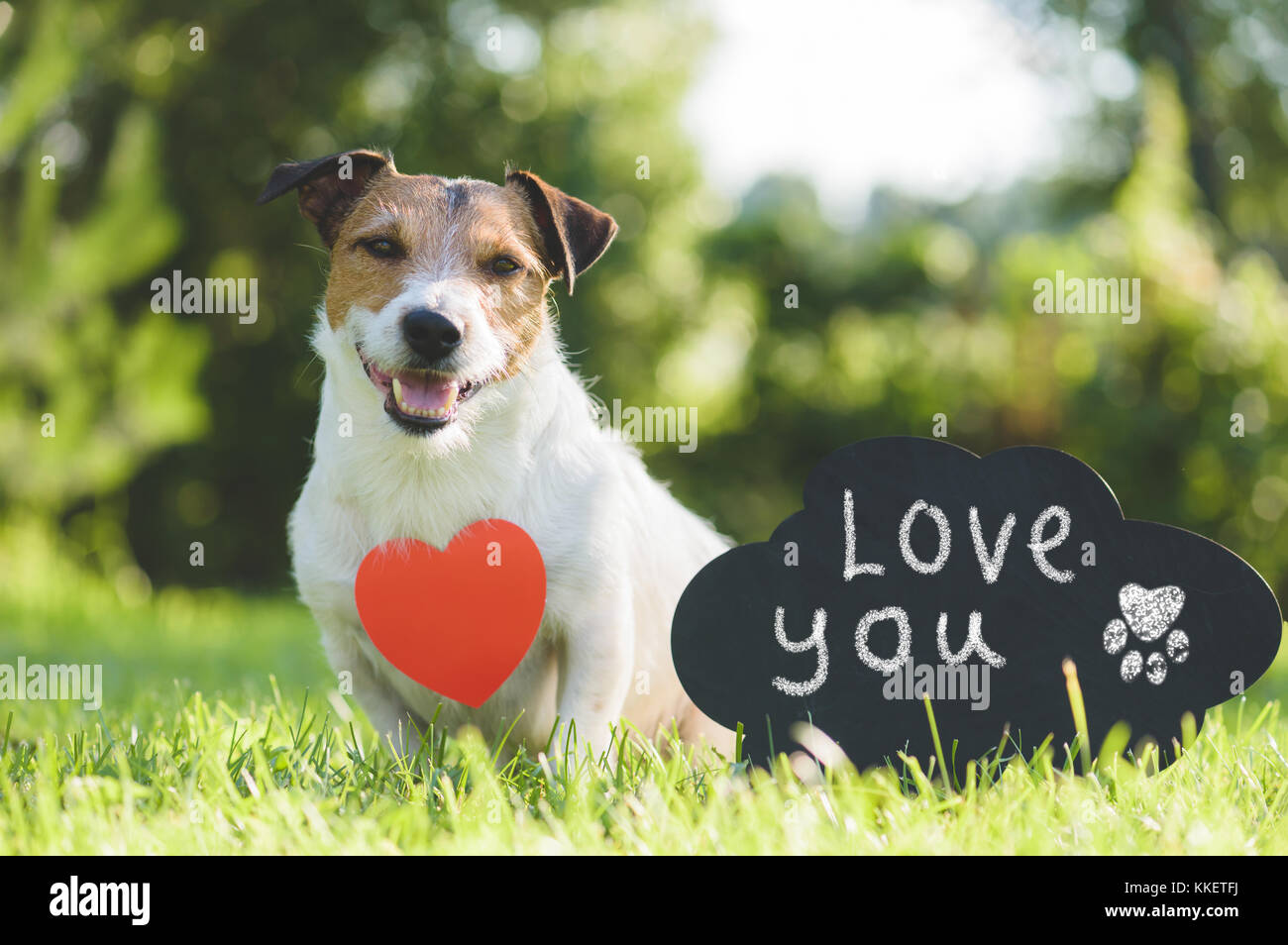 Adorable Hund mit Herz Anhänger und handschriftliche Zeichen "Liebe dich" am Schwarzen Brett Stockfoto