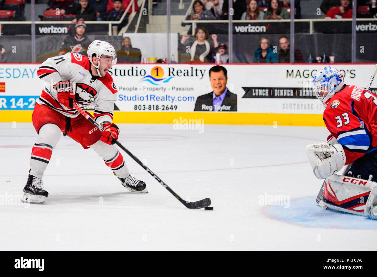 Charlotte C Bischof (11) Während der AHL hockey Spiel zwischen den Springfield Thunderbirds und die Charlotte Checkers am Freitag, den 1. Dezember 2017 an Bojangles Kolosseum in Charlotte, NC. Jakob Kupferman/CSM Stockfoto