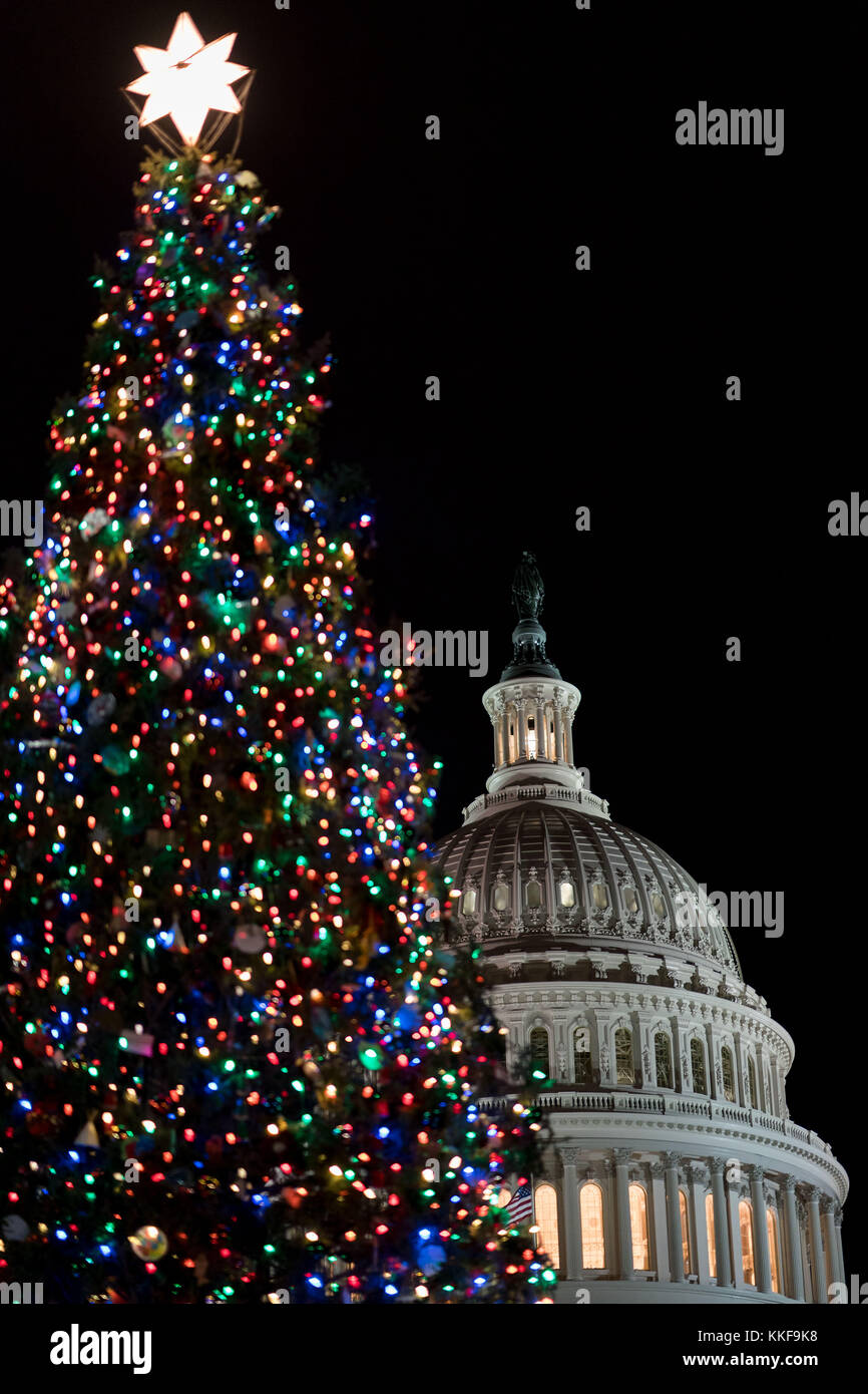 Washington, USA. Dezember 2017. Der Capitol Christmas Tree wird auf dem Rasen des US Capitol in Washington am 6. Dezember 2017 beleuchtet. Der Weihnachtsbaum des Kapitols ist seit 1964 eine Tradition. Quelle: Shen Ting/Xinhua/Alamy Live News Stockfoto