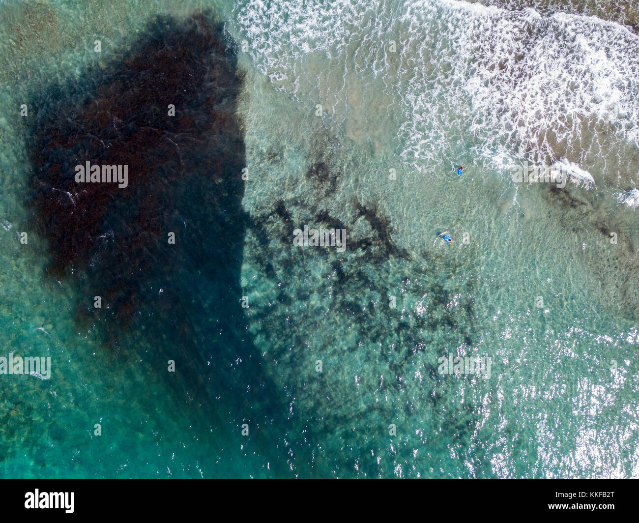 Luftaufnahme der Felsen am Meer. Übersicht des Meeresbodens von oben gesehen, kristallklarem Wasser. Schwimmer, Badegäste auf dem Wasser schwimmen Stockfoto