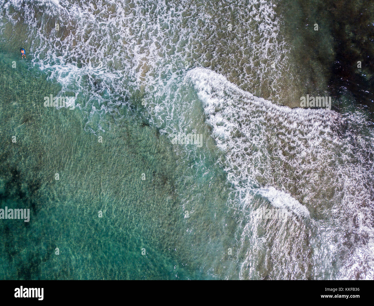 Luftaufnahme der Felsen am Meer. Übersicht des Meeresbodens von oben gesehen, kristallklarem Wasser. Schwimmer, Badegäste auf dem Wasser schwimmen Stockfoto