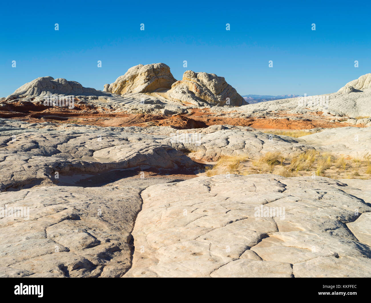 Geringer Betrachtungswinkel der rock Detail in der White Pocket, Paria Plateau, Vermilion Cliffs National Monument, Arizona. Stockfoto