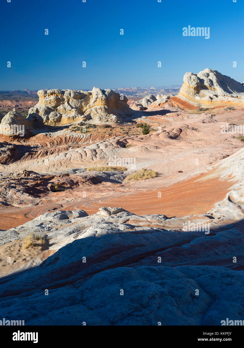 Geringer Betrachtungswinkel der rock Detail in der White Pocket, Paria Plateau, Vermilion Cliffs National Monument, Arizona. Stockfoto