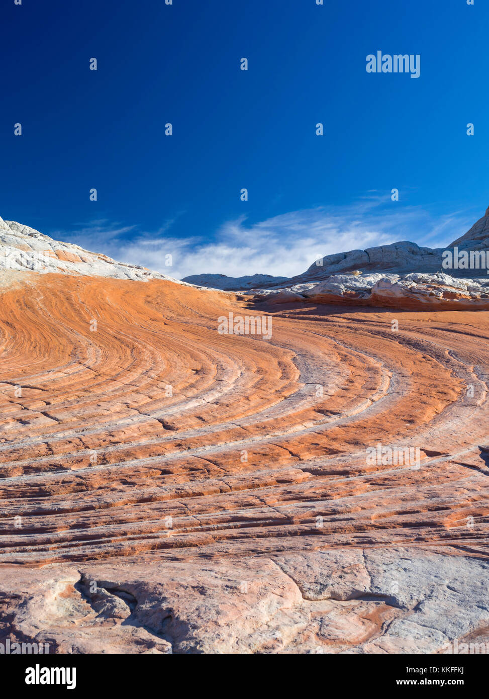 Geringer Betrachtungswinkel der rock Detail in der White Pocket, Paria Plateau, Vermilion Cliffs National Monument, Arizona. Stockfoto