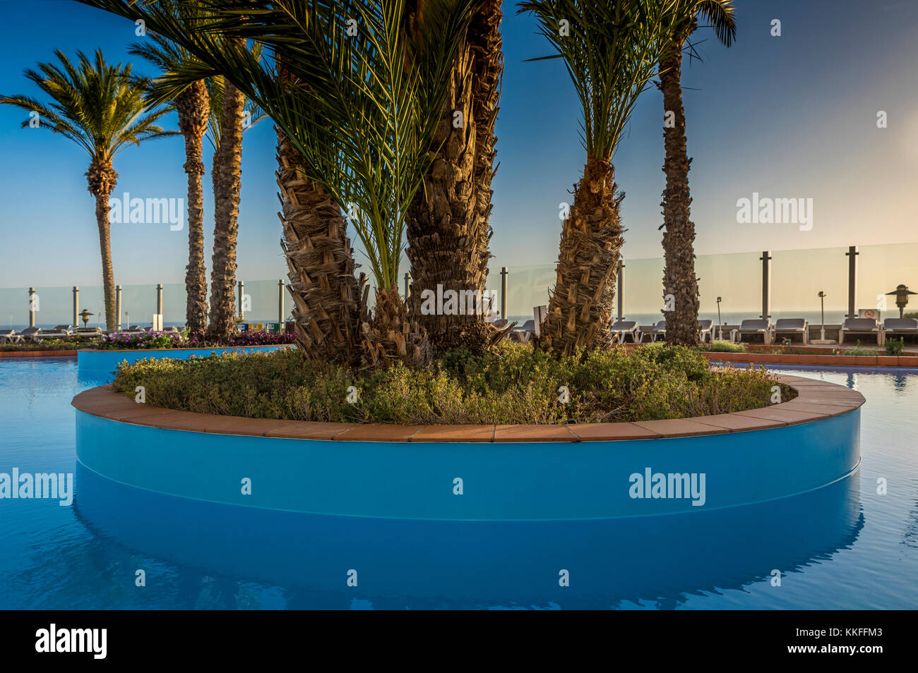 Tropisches Schwimmbad mit Palmen. Stockfoto