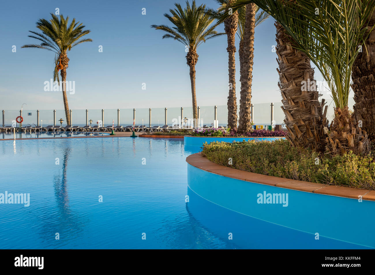 Tropisches Schwimmbad mit Palmen. Stockfoto