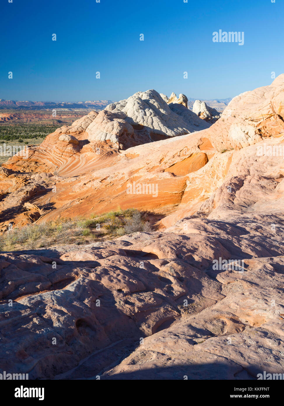 Rock Detail in der White Pocket, Paria Plateau, Vermilion Cliffs National Monument, Arizona. Stockfoto