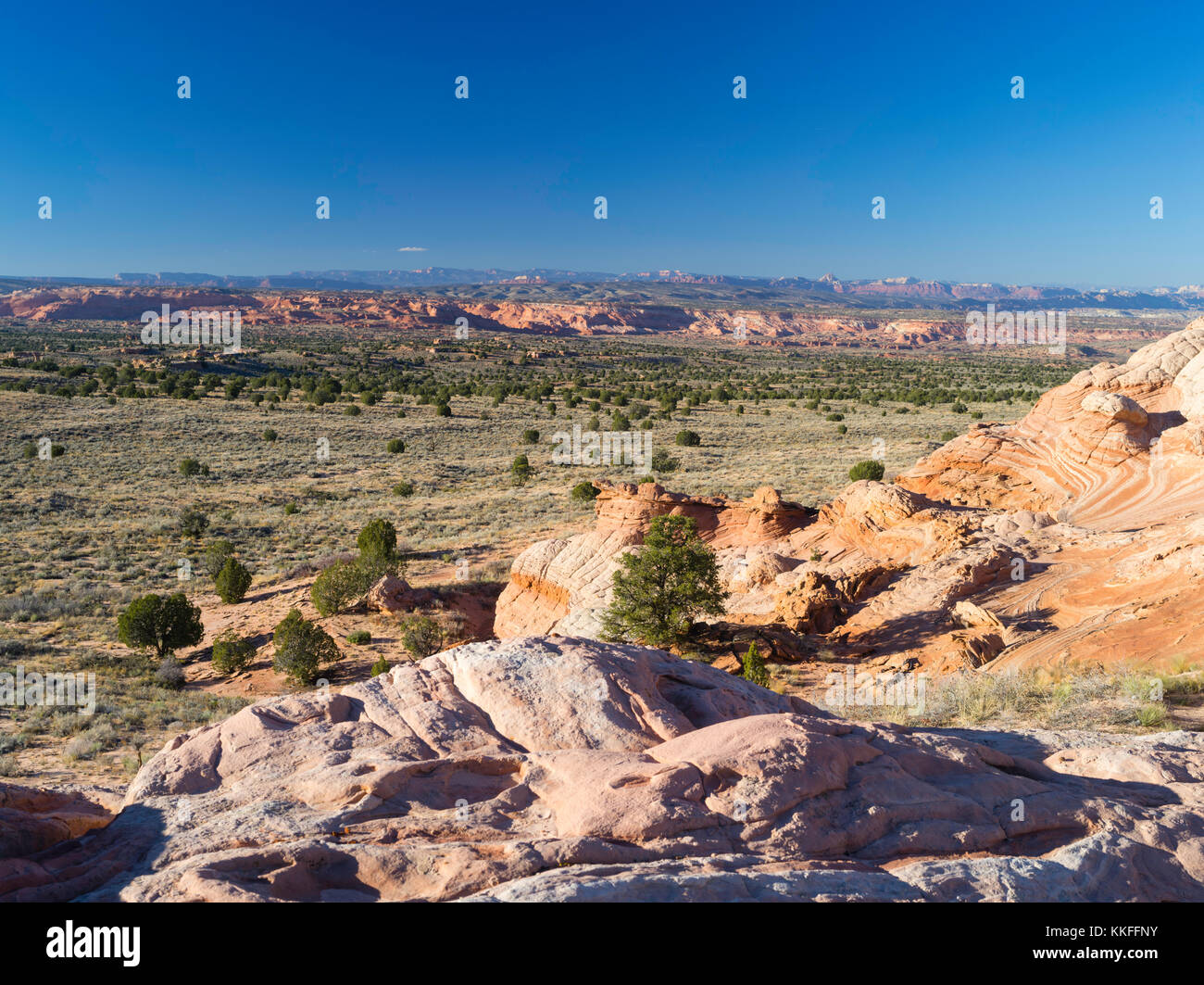 Rock Detail in der White Pocket, Paria Plateau, Vermilion Cliffs National Monument, Arizona. Stockfoto