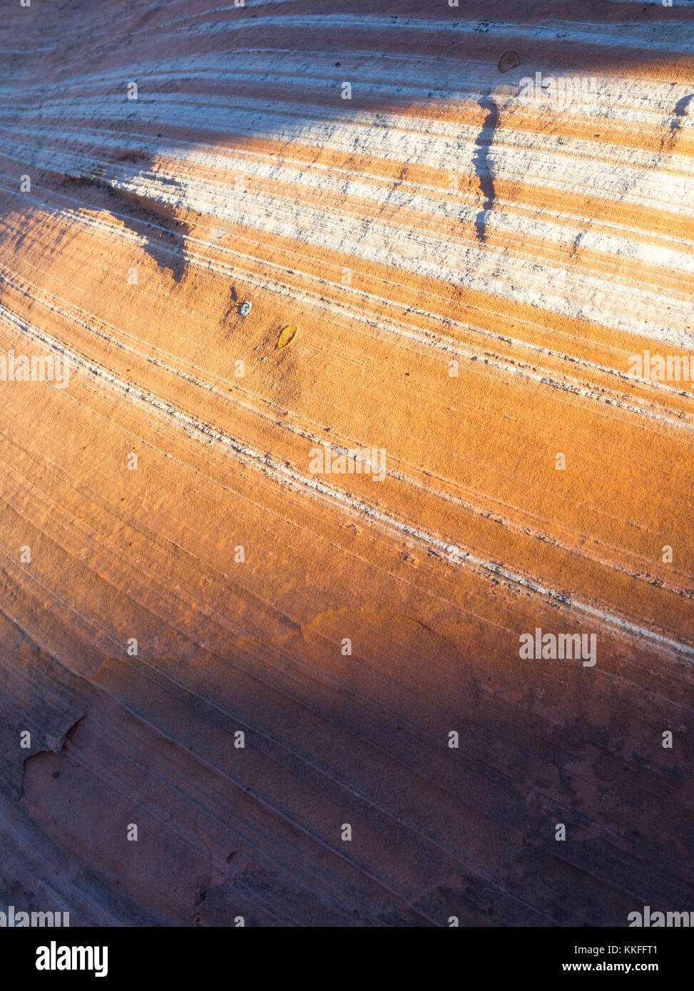 Rock Detail in der White Pocket, Paria Plateau, Vermilion Cliffs National Monument, Arizona. Stockfoto