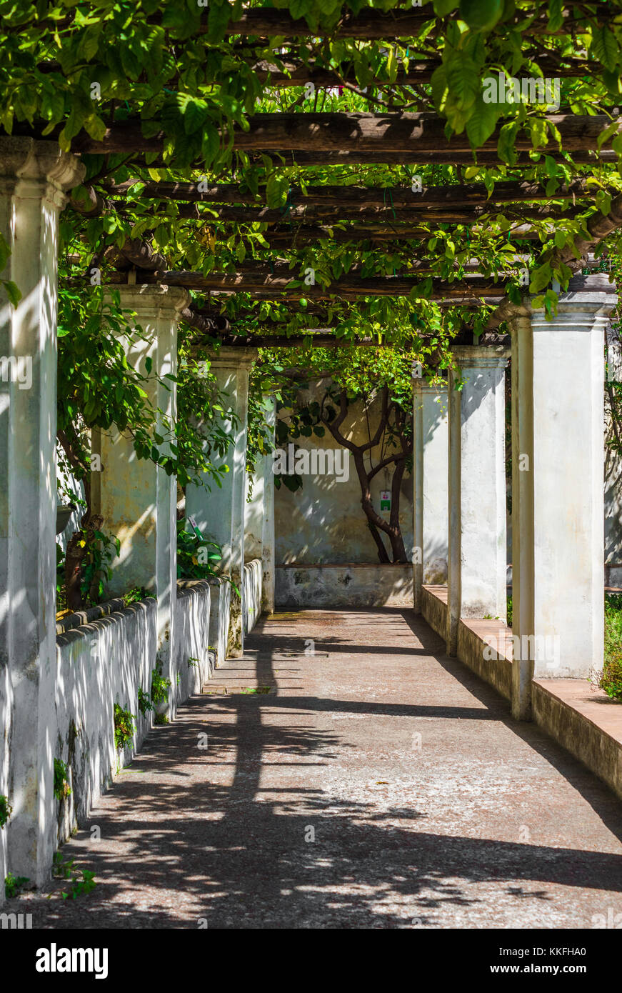 Naples botanical garden Fotos und Bildmaterial in hoher Auflösung Alamy