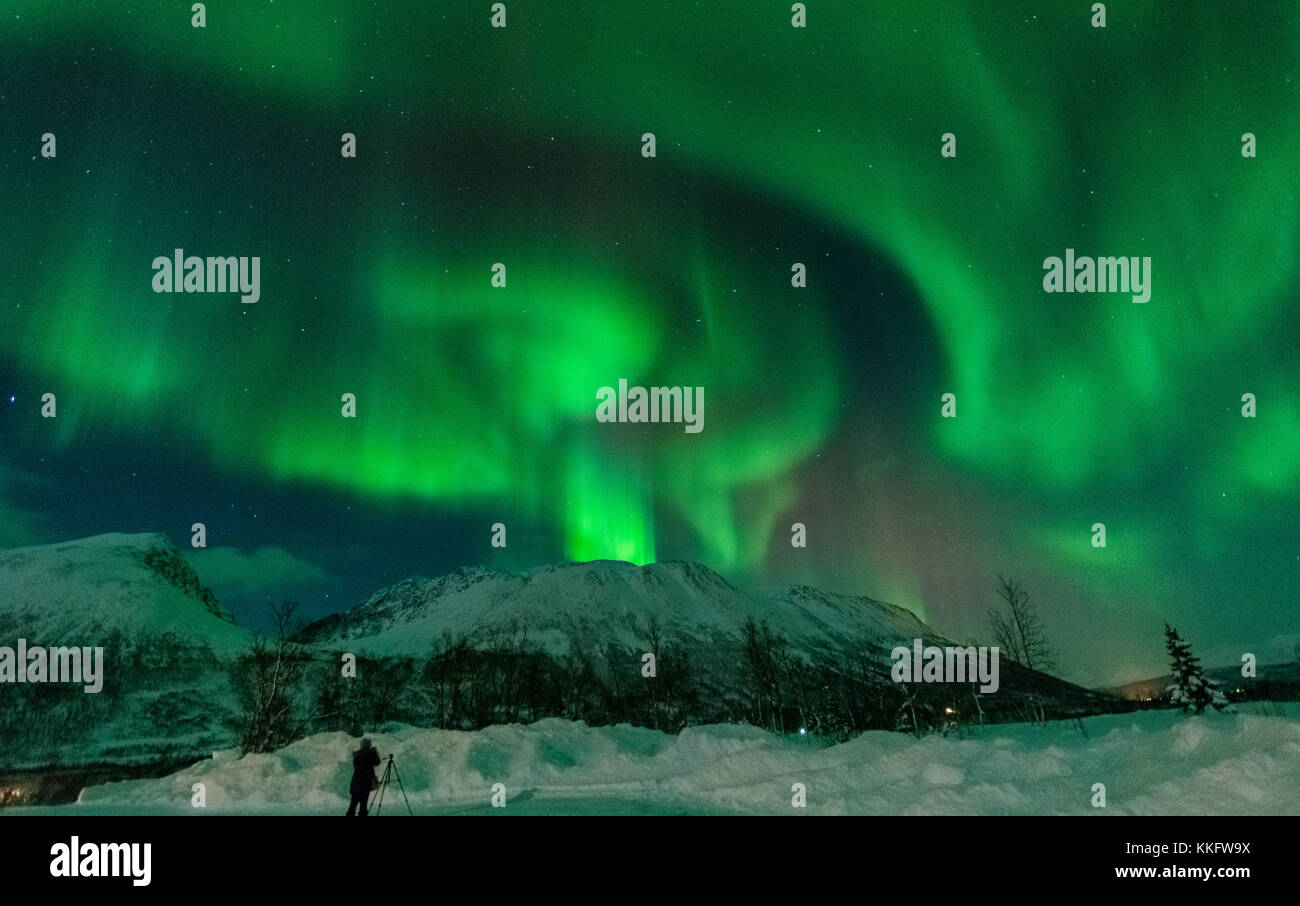 Nordlicht bei Tromsö Norwegen im Jahr 2014 erfasst. Es war ein Traum, Aurora zu schießen Stockfoto