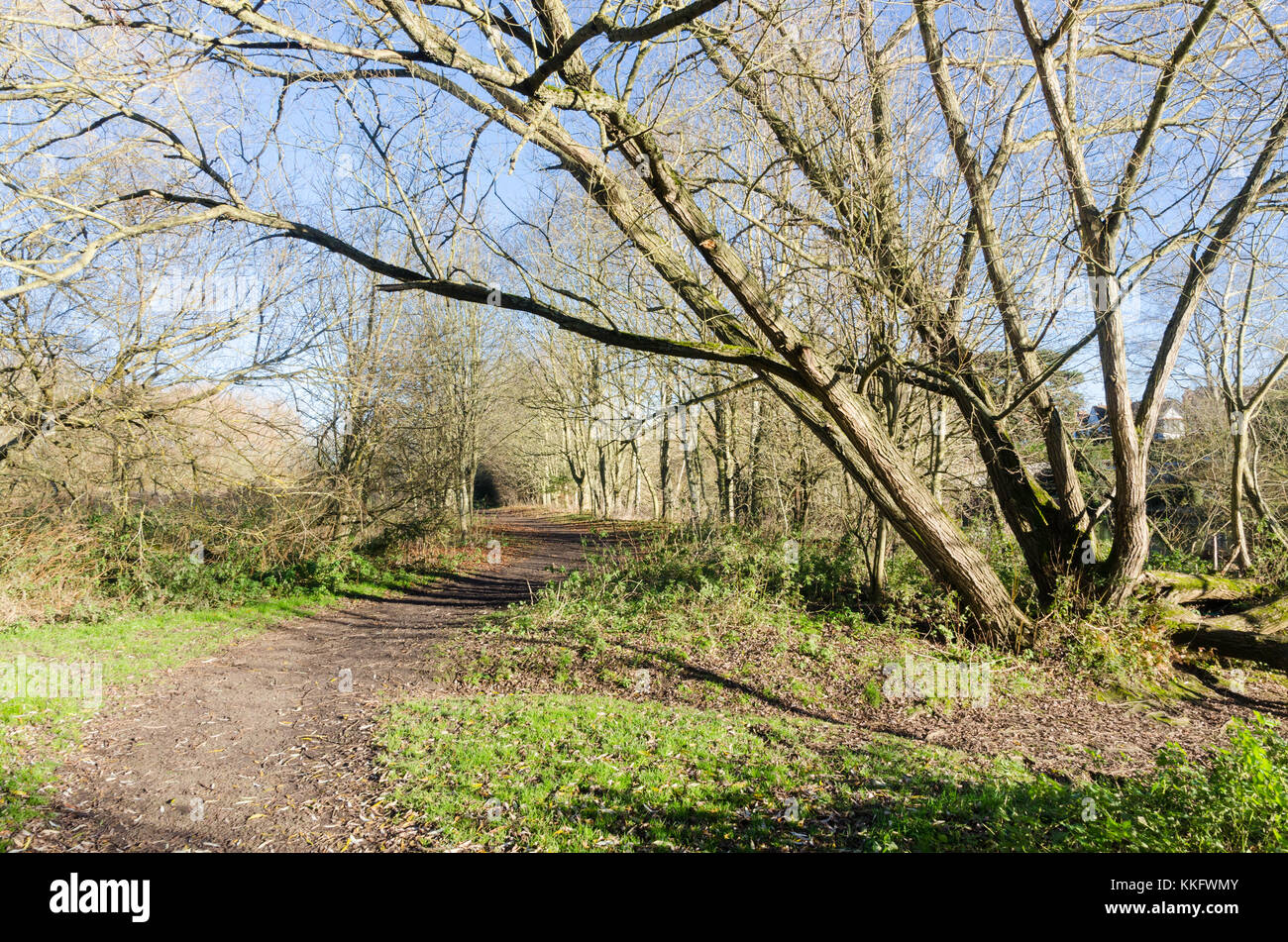Wanderweg entlang des Flusses Avon am Stadtrand von Stratford-upon-Avon, Warwickshire, Großbritannien Stockfoto