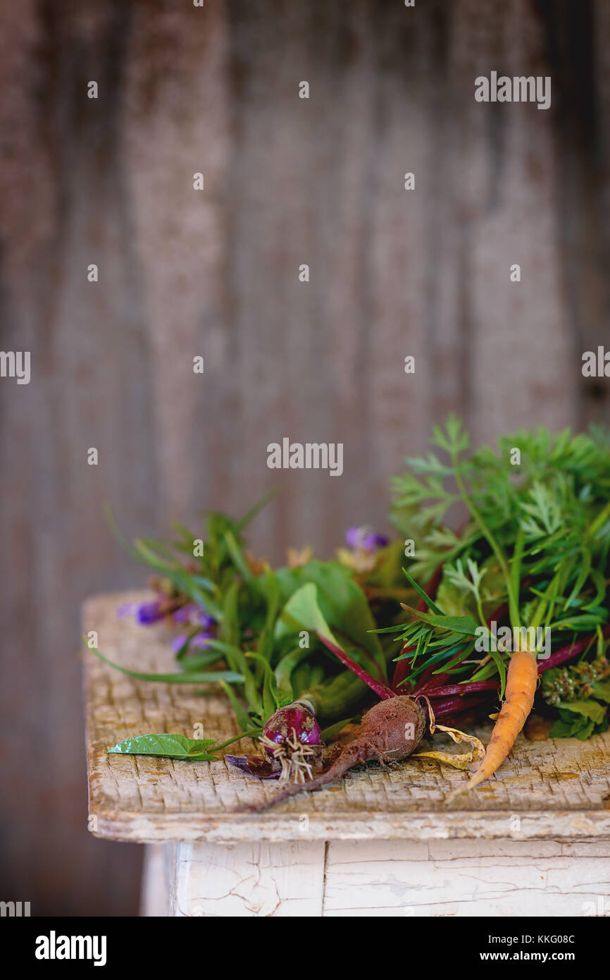 Sortiment an frische Kräuter Minze, Oregano, Thymian, Salbei und jungem Gemüse Rote Bete und Karotten über alten hölzernen Schemel als Hintergrund. Tageslicht Stockfoto