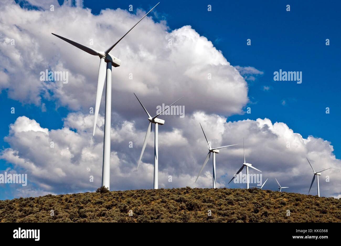 United States Windparks erneuerbare Energie mit dramatischen Himmel. Stockfoto