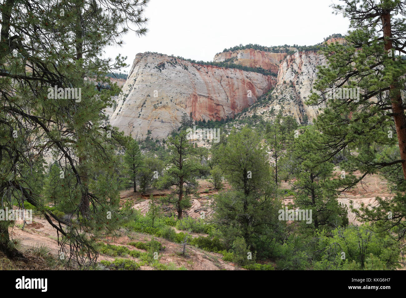 Eine Szene entlang des Zion-Mt. Carmel Hwy, wenn man den Zion National Park von Osten aus erreicht Stockfoto