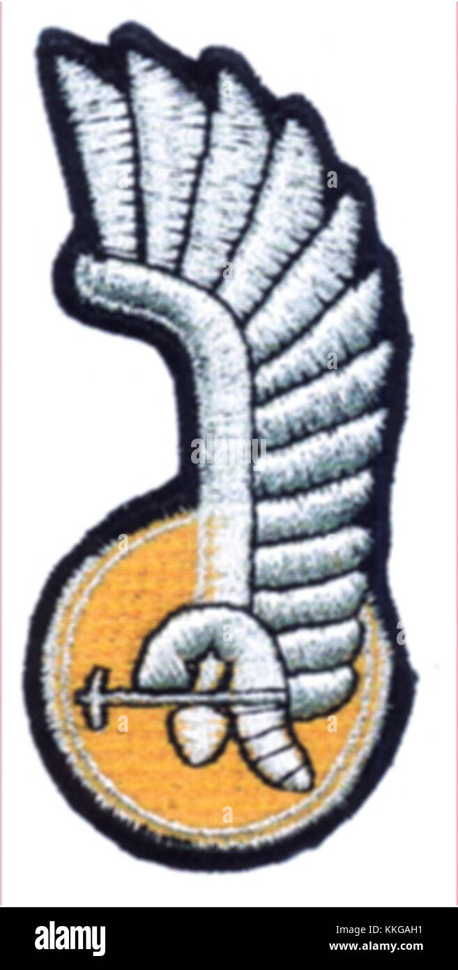 Das Bild zeigt die Insignien der 11. Polnischen Panzerdivision (11 DKPanc). Dieses Abzeichen symbolisiert das militärische Erbe der Einheit und ihre Rolle während der Operationen der polnischen Streitkräfte im Zweiten Weltkrieg, insbesondere ihre Beteiligung an der Verteidigung Polens. Stockfoto