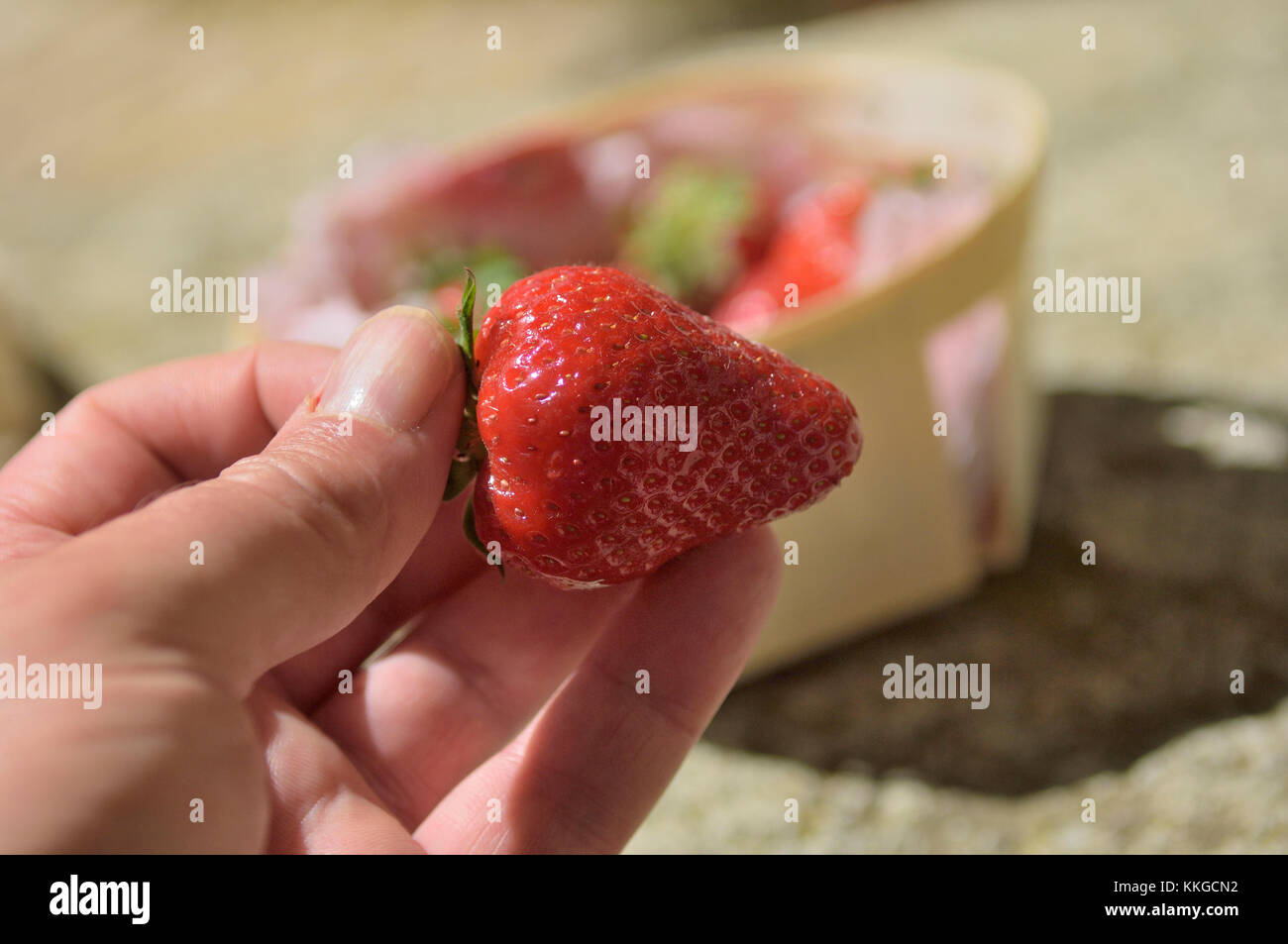 Frische provenzalische Erdbeeren, Frankreich Stockfoto