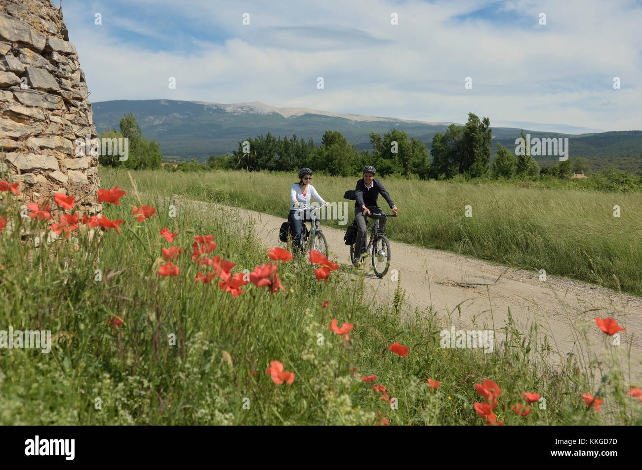 Radtour rund um den Vancluse Abteilung, Provence, Frankreich Stockfoto