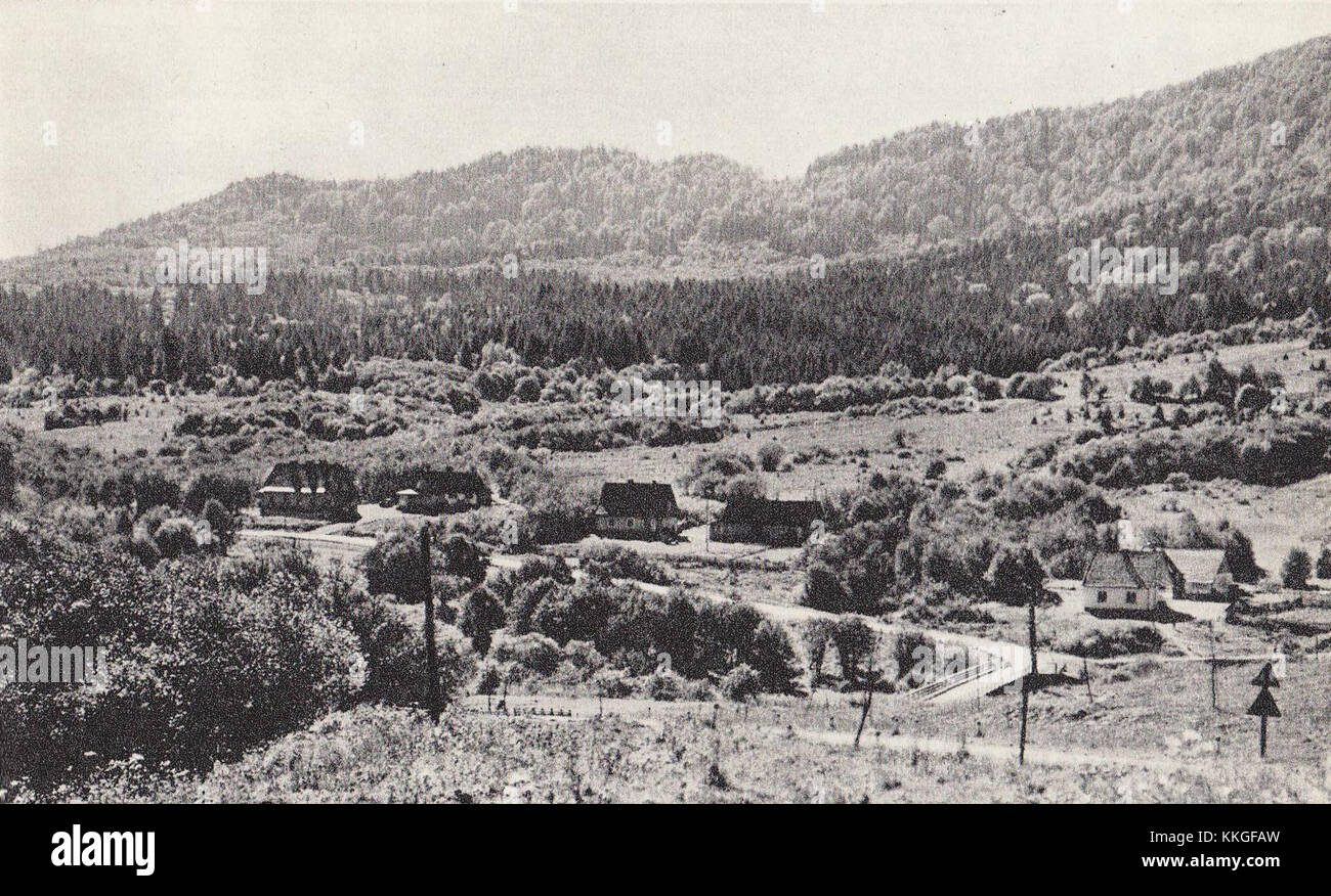 Bieszczady 68-92 Dolina Wolosatego bezeichnet ein malerisches Tal im Bieszczady-Gebirge im Südosten Polens. Bekannt für seine atemberaubende natürliche Schönheit ist es ein beliebtes Ziel für Wanderer und Naturliebhaber. Die Gegend ist bekannt für ihre reiche Artenvielfalt und die malerische Landschaft, die Besucher zur Erkundung der unberührten Wildnis anlockt. Stockfoto