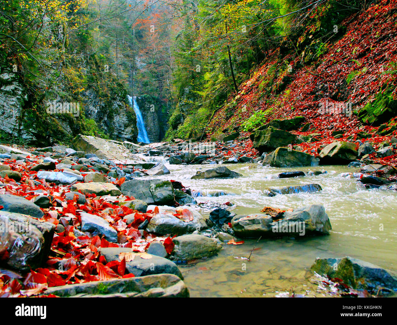 Landschaft mit Wasserfall und Berg River im Herbst. herbstliche Landschaft in den Bergen Stockfoto