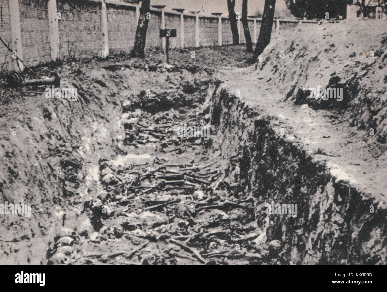 Das Massengrab sowjetischer Soldaten in einem ehemaligen Konzentrationslager deutscher Kriegsgefangener in Deblin, Polen, ist ein Ort des Gedenkens an die Opfer des Zweiten Weltkriegs und der Nazi-Besatzung in Polen. Stockfoto