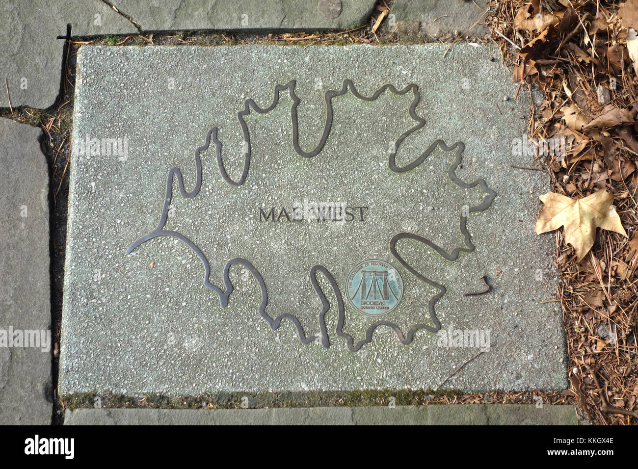 Dieses Foto zeigt die Schauspielerin Mae West auf dem Brooklyn Celebrity Path. Sie unterstreicht ihren kulturellen Einfluss und ihren ikonischen Status als einer der berühmten Stars Hollywoods im 20. Jahrhundert. Stockfoto