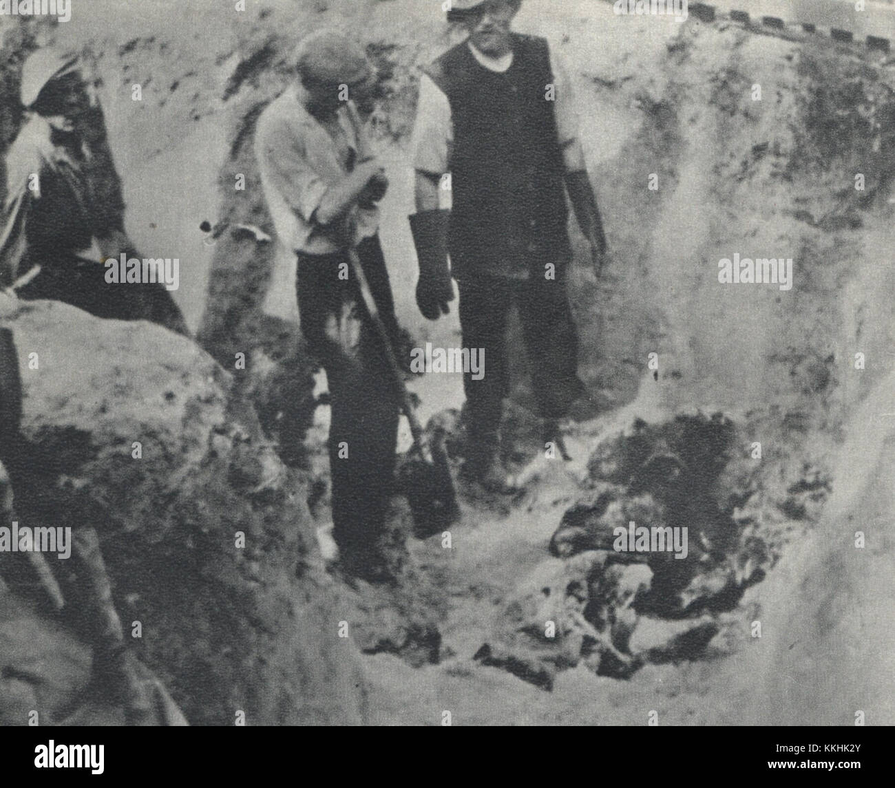 Dieses Bild zeigt die Exhumierung der Leichen der Opfer aus dem Gebiet von Lasy Chojnowskie, wo Nazi-deutsche Truppen während des Zweiten Weltkriegs ein Massaker verübten. Stockfoto