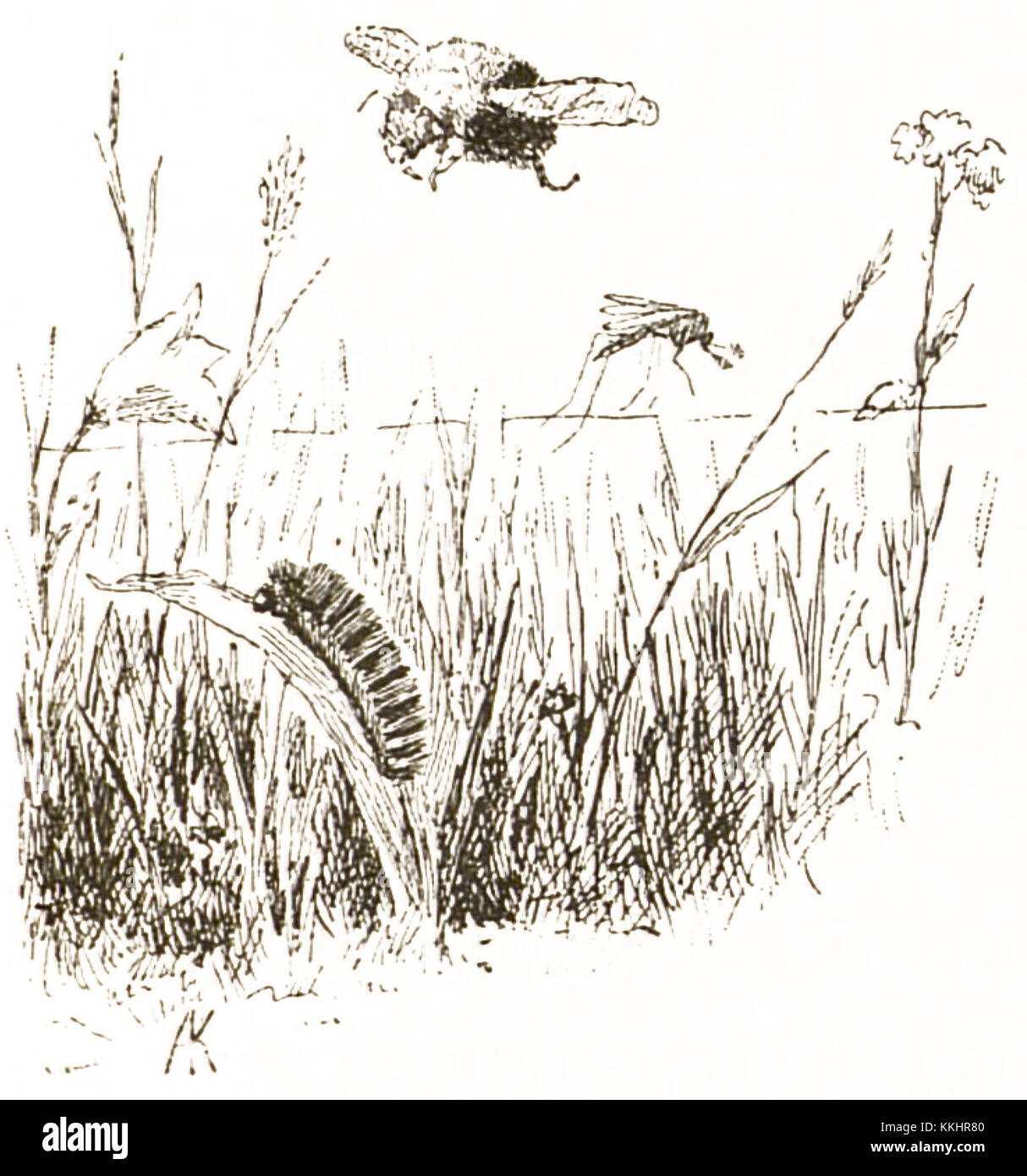 Aljonuschkas Märchen, eine Sammlung russischer Märchen aus dem Jahr 1900, zeigt eine Illustration auf Seite 12, die den traditionellen Kunststil dieser Zeit zeigt. Stockfoto