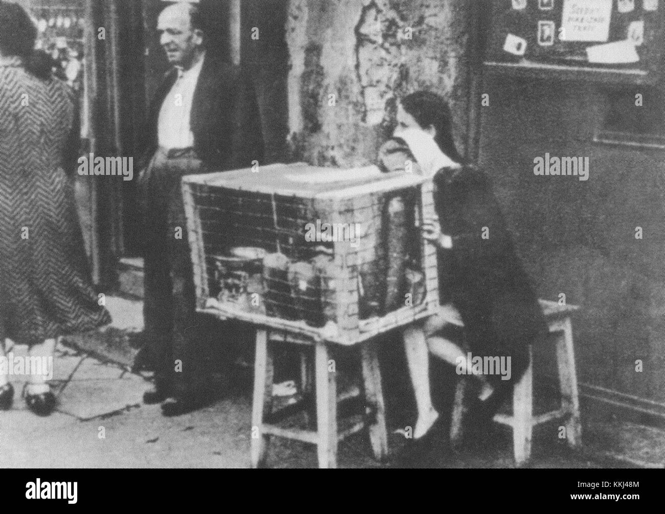 Dieses Bild zeigt den Verkauf von Brot im Warschauer Ghetto und zeigt das tägliche Leben und die Überlebensbemühungen während des Zweiten Weltkriegs. Es erfasst die Kämpfe der jüdischen Gemeinde im von den Nazis besetzten Polen. Stockfoto Dieses Bild zeigt den Verkauf von Brot im Warschauer Ghetto und zeigt das tägliche Leben und die Überlebensbemühungen während des Zweiten Weltkriegs. Es erfasst die Kämpfe der jüdischen Gemeinde im von den Nazis besetzten Polen. Stockfoto