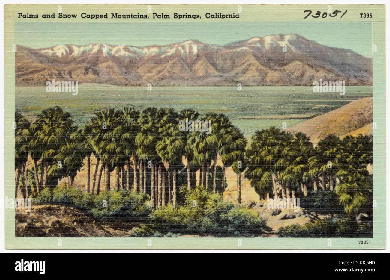 Palm and Snow Capped Mountains, Palm Springs, Kalifornien (73051) Stockfoto