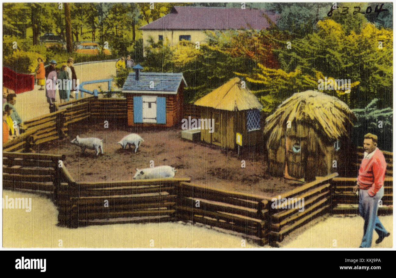The Three Little Pigs at the Children's Zoo, Belle Isle -- Detroit, Michigan (83204) Stockfoto